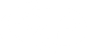 icone pet 01 - 4